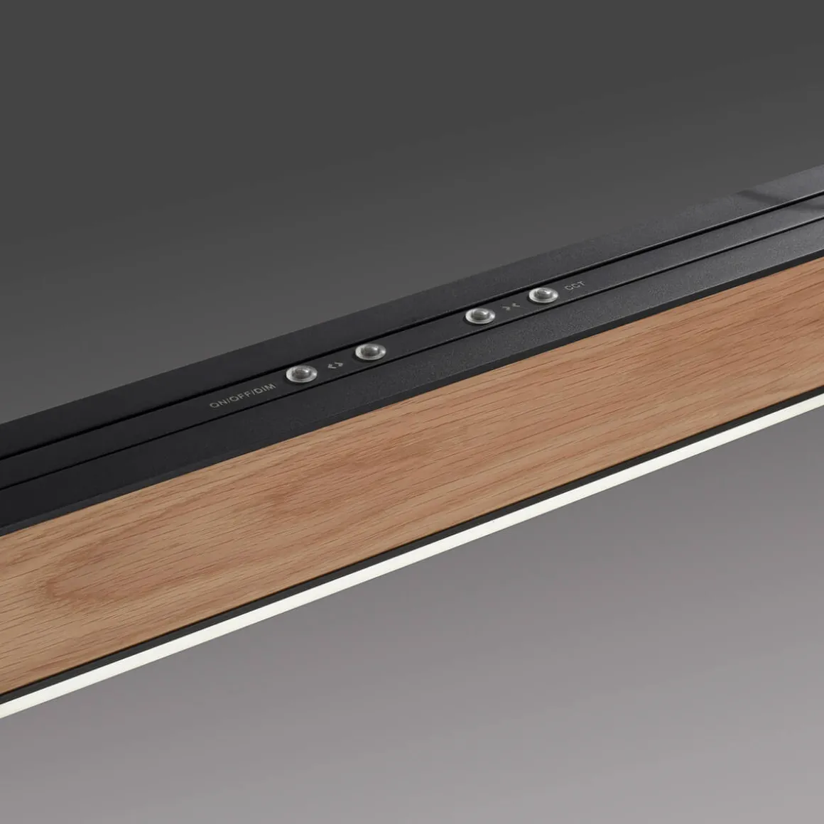 Neuhaus PURE by Paul Neuhaus PURE Moto-Rise LED Pendelleuchte mit e-SLIDE, e-LIFT und CCT