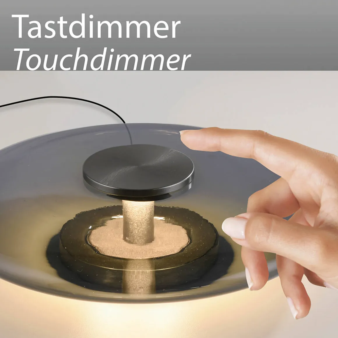 Neuhaus PURE by Paul Neuhaus PURE Vitrum LED Tischleuchte