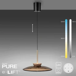 Neuhaus PURE by Paul Neuhaus PURE E-Moon LED Pendelleuchte mit e-LIFT und CCT