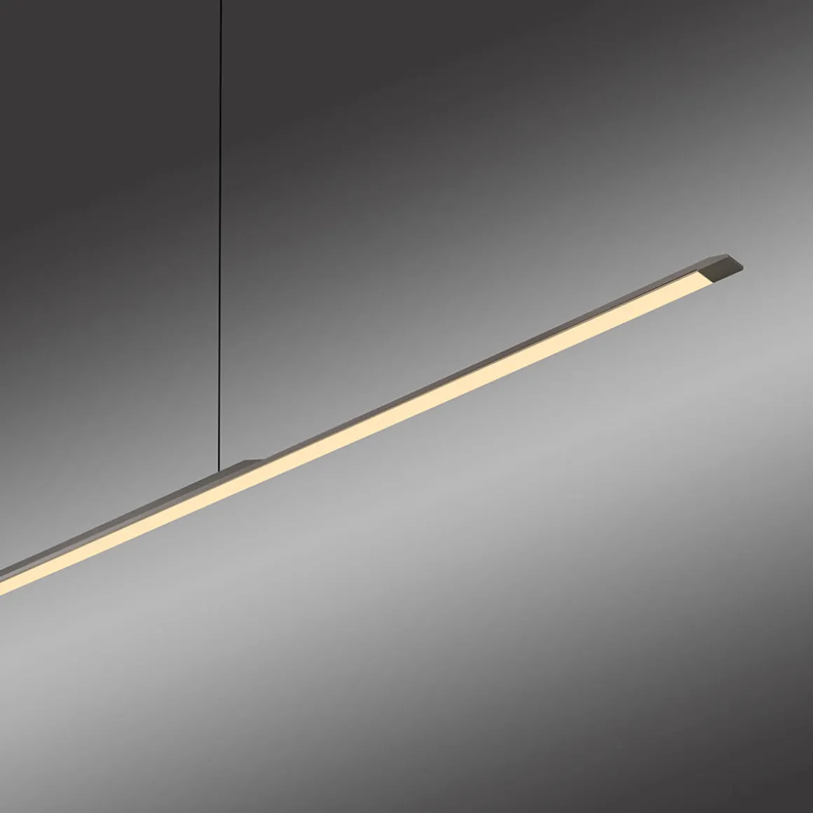 Neuhaus PURE by Paul Neuhaus PURE Surface LED Pendelleuchte