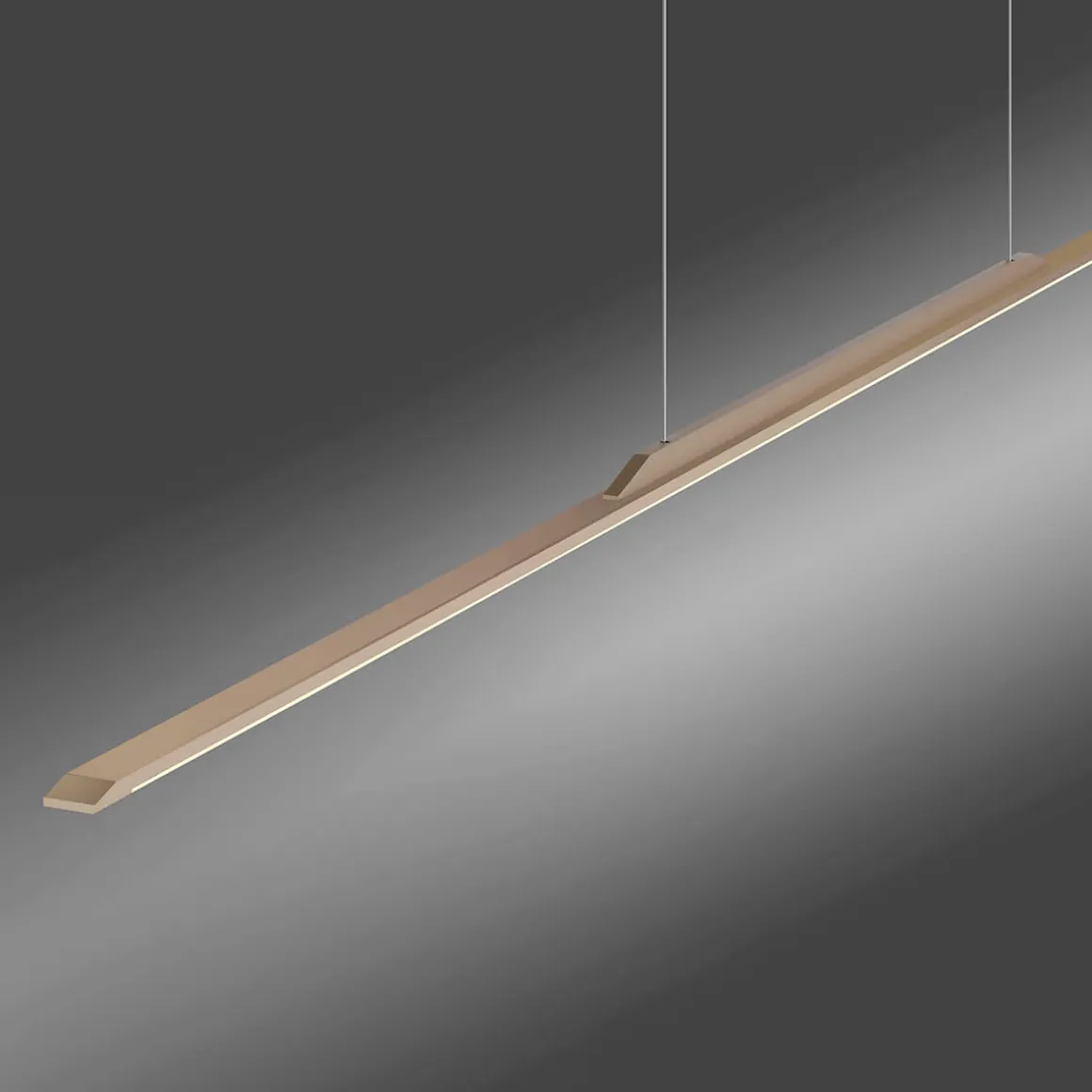 Neuhaus PURE by Paul Neuhaus PURE Surface LED Pendelleuchte