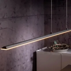 Neuhaus PURE by Paul Neuhaus PURE Surface LED Pendelleuchte