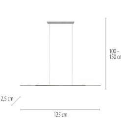 Neuhaus PURE by Paul Neuhaus PURE Surface LED Pendelleuchte