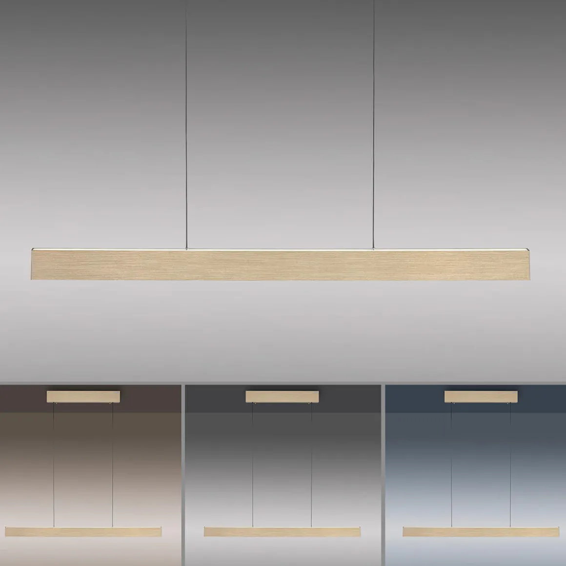 Neuhaus PURE by Paul Neuhaus PURE E-Motion LED Pendelleuchte mit e-LIFT und CCT