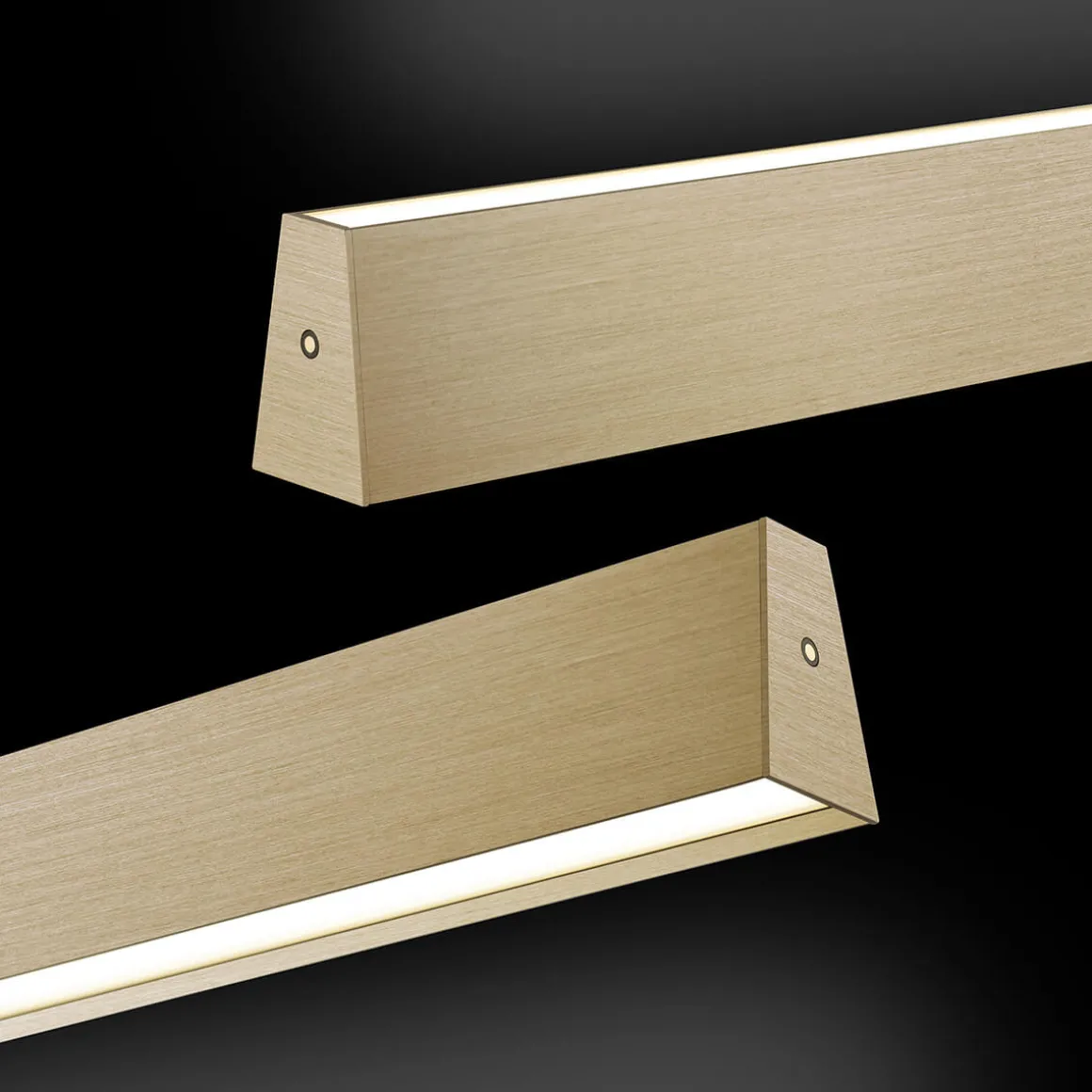 Neuhaus PURE by Paul Neuhaus PURE E-Motion LED Pendelleuchte mit e-LIFT und CCT