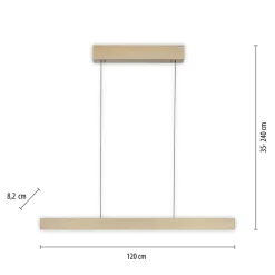 Neuhaus PURE by Paul Neuhaus PURE E-Motion LED Pendelleuchte mit e-LIFT und CCT