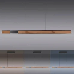 Neuhaus PURE by Paul Neuhaus PURE Moto-Rise LED Pendelleuchte mit e-SLIDE, e-LIFT und CCT, Rückläufer