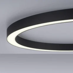 Neuhaus PURE by Paul Neuhaus PURE Lines Round LED Deckenleuchte mit CCT