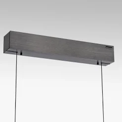 Neuhaus PURE by Paul Neuhaus PURE E-Popup LED Pendelleuchte mit e-LIFT und CCT