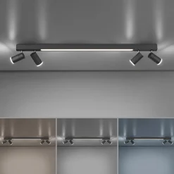 Neuhaus PURE by Paul Neuhaus PURE Lines Spot LED Deckenstrahler mit CCT