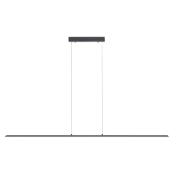 Neuhaus PURE by Paul Neuhaus PURE Lite LED Pendelleuchte mit CCT