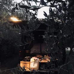 Nimbus Roxxane Fly CL LED Akkuleuchte