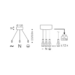 Oligo CHECK-IN System BEAUTY FREE Basic