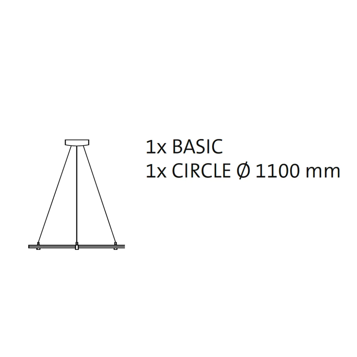 Oligo CHECK-IN System BEAUTY FREE Suspension 2