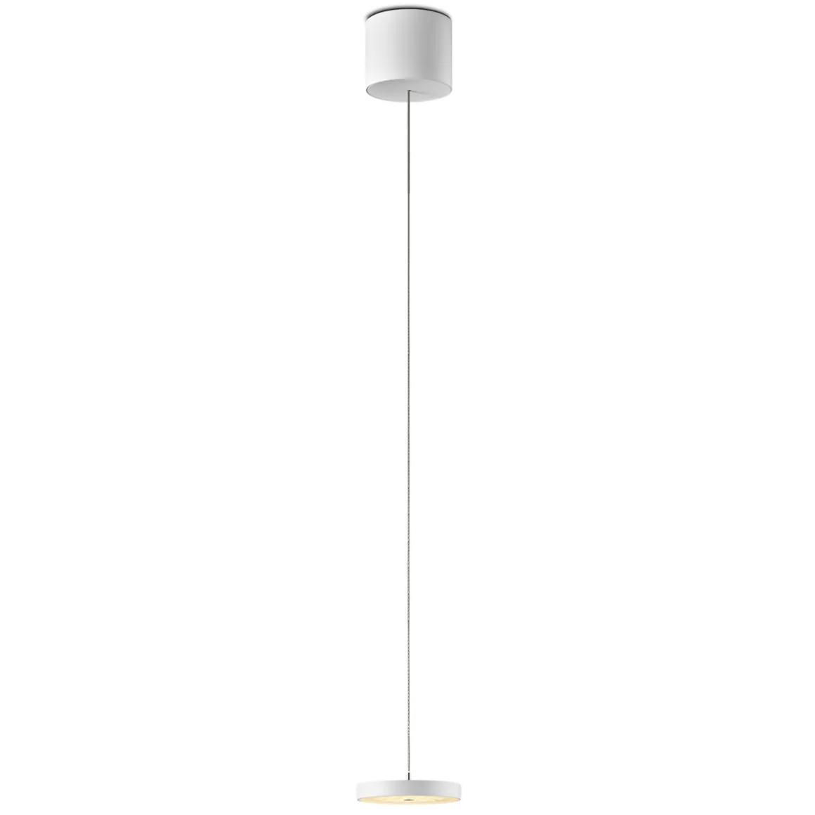 Oligo Decent LED Pendelleuchte, TW, unsichtbare Höhenverstellung