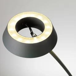 Oligo Glance LED Tischleuchte, gebogen