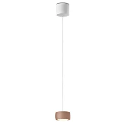Oligo Grace LED Pendelleuchte, TW, unsichtbare Höhenverstellung