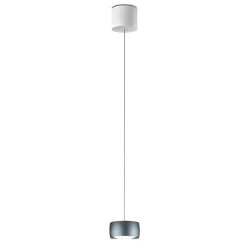 Oligo Grace LED Pendelleuchte, TW, unsichtbare Höhenverstellung