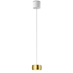 Oligo Grace LED Pendelleuchte, TW, unsichtbare Höhenverstellung