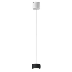 Oligo Grace LED Pendelleuchte, TW, unsichtbare Höhenverstellung