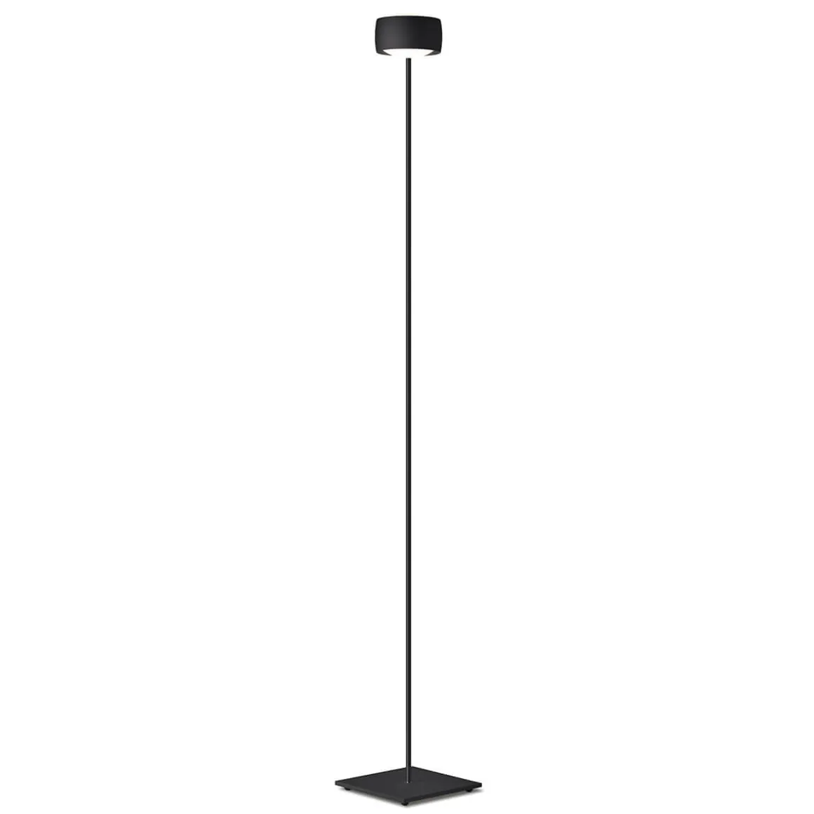 Oligo Grace LED Stehleuchte, Tunable White