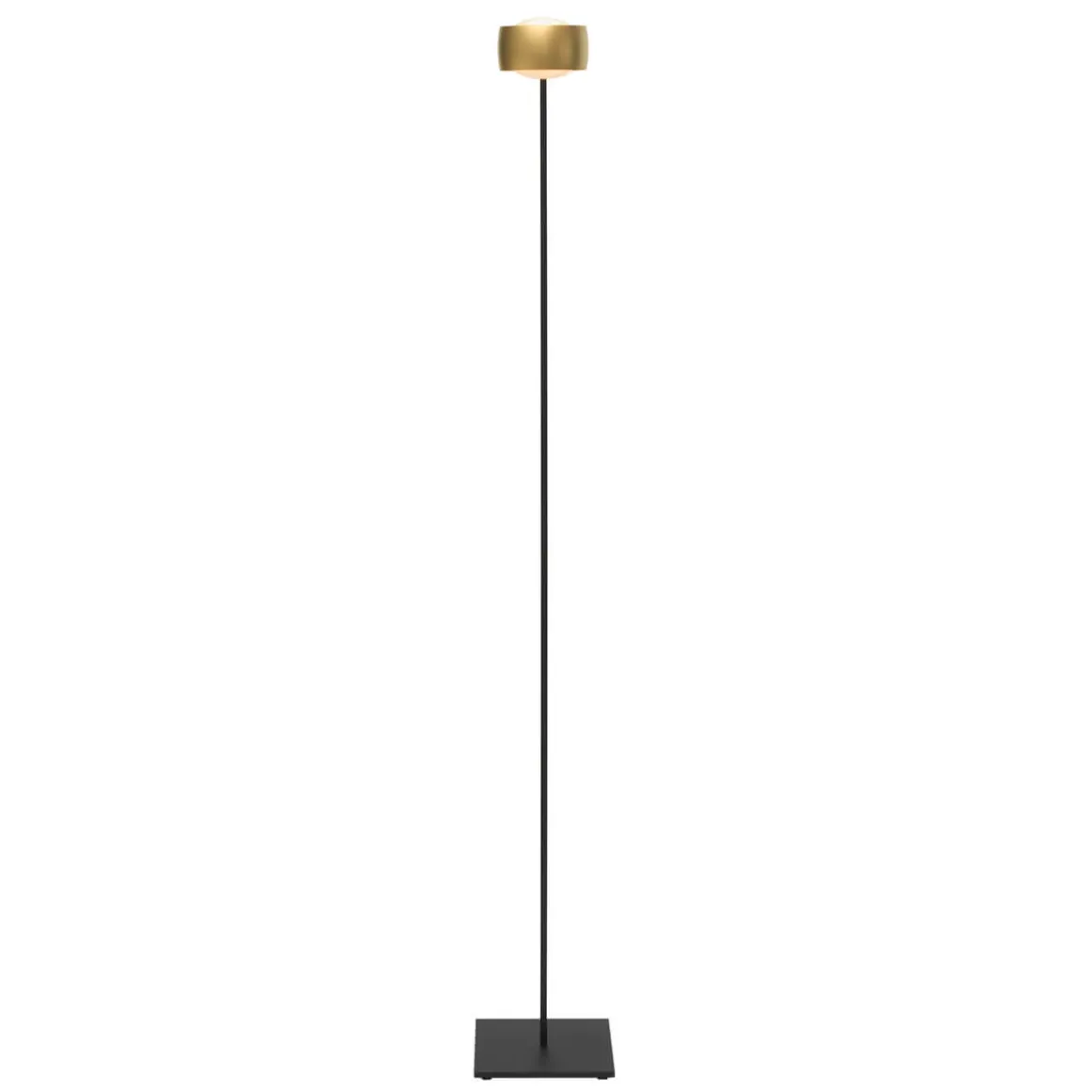 Oligo Grace LED Stehleuchte, Tunable White