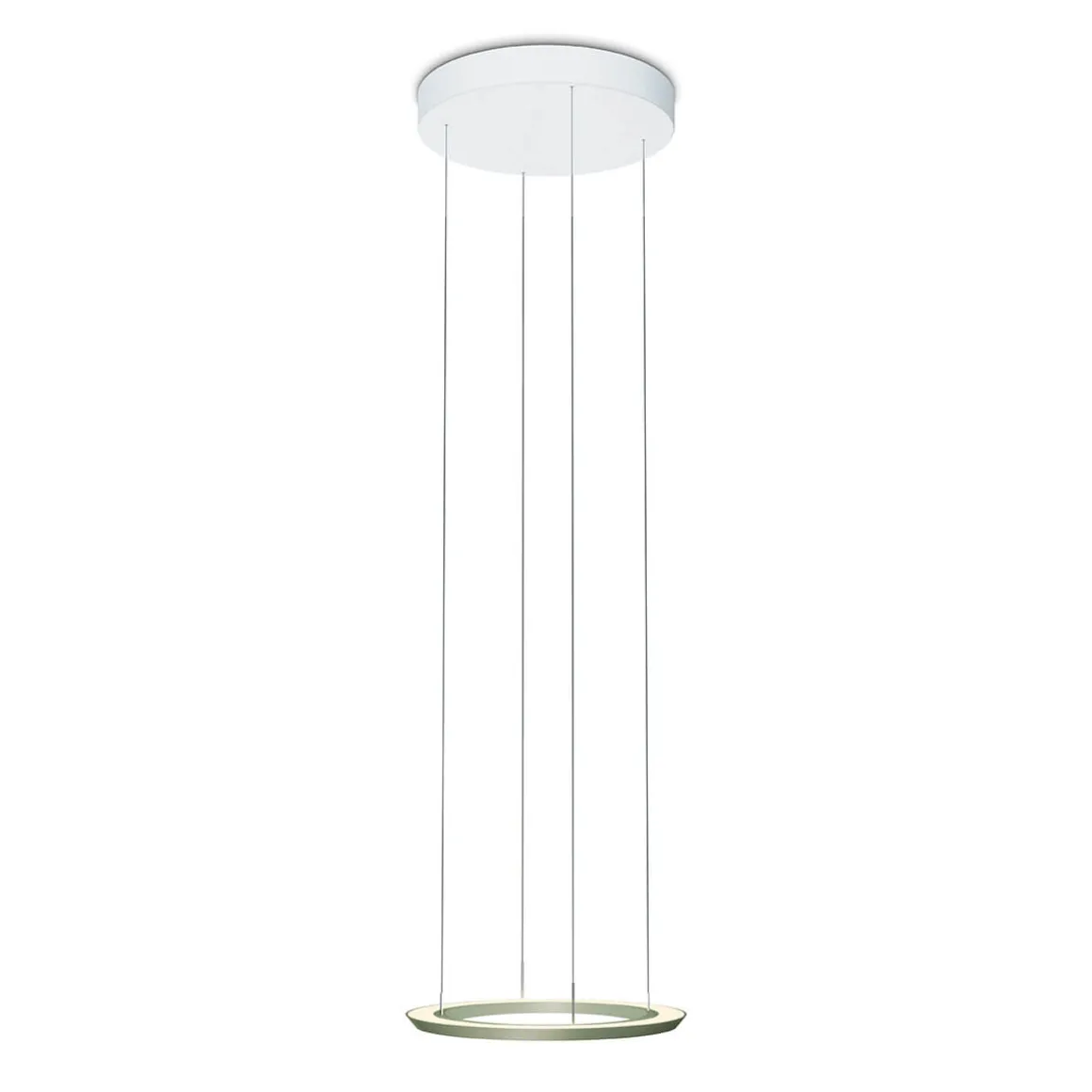 Oligo Yano LED Pendelleuchte