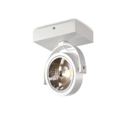 Orange One Herman Single Spot