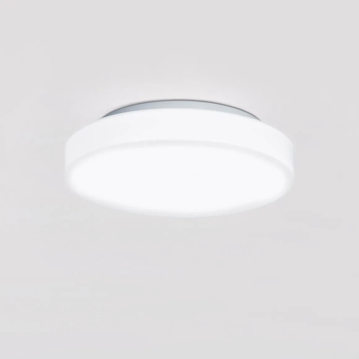 Peill+Putzler Rasa Wand- / Deckenleuchte