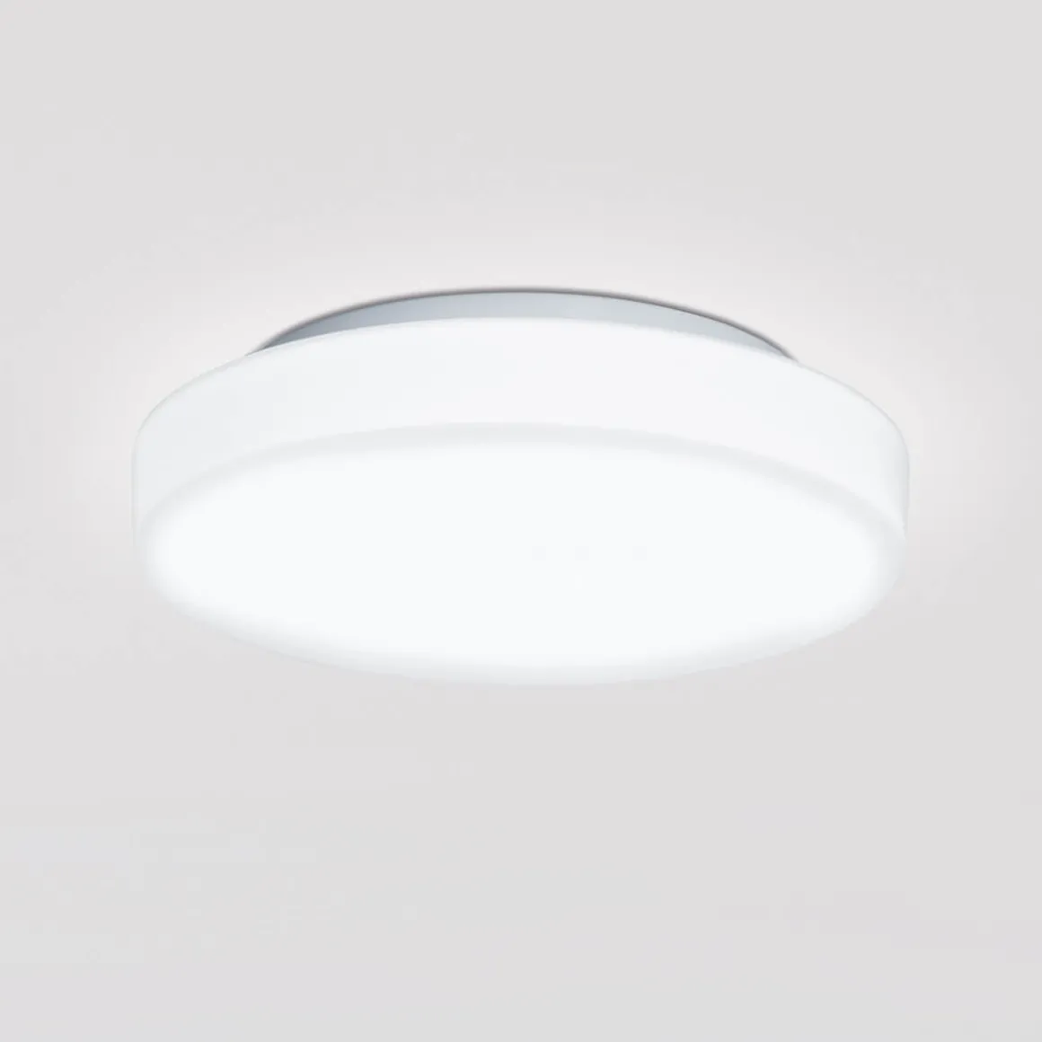 Peill+Putzler Rasa Wand- / Deckenleuchte