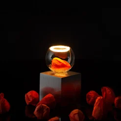 Segula Cubic Tischleuchte mit LED Floating Globe 80 klar