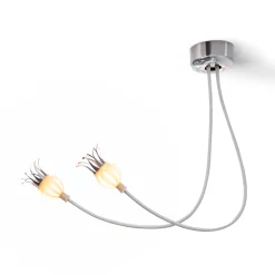 serien.lighting Poppy Wall / Ceiling 2 Wand- / Deckenleuchte