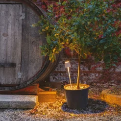 Zafferano AiLati Poldina Picchetto Pro LED Akku-Spießleuchte