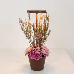 Zafferano AiLati Poldina Reverso Pro LED Akkuleuchte