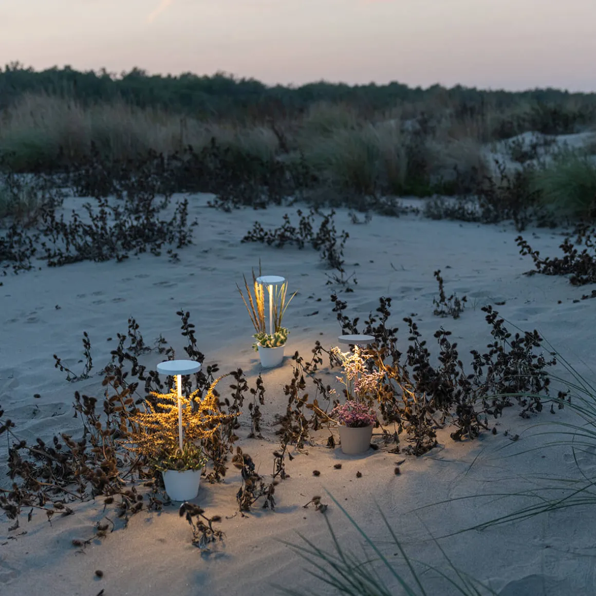 Zafferano AiLati Poldina Reverso Pro LED Akkuleuchte