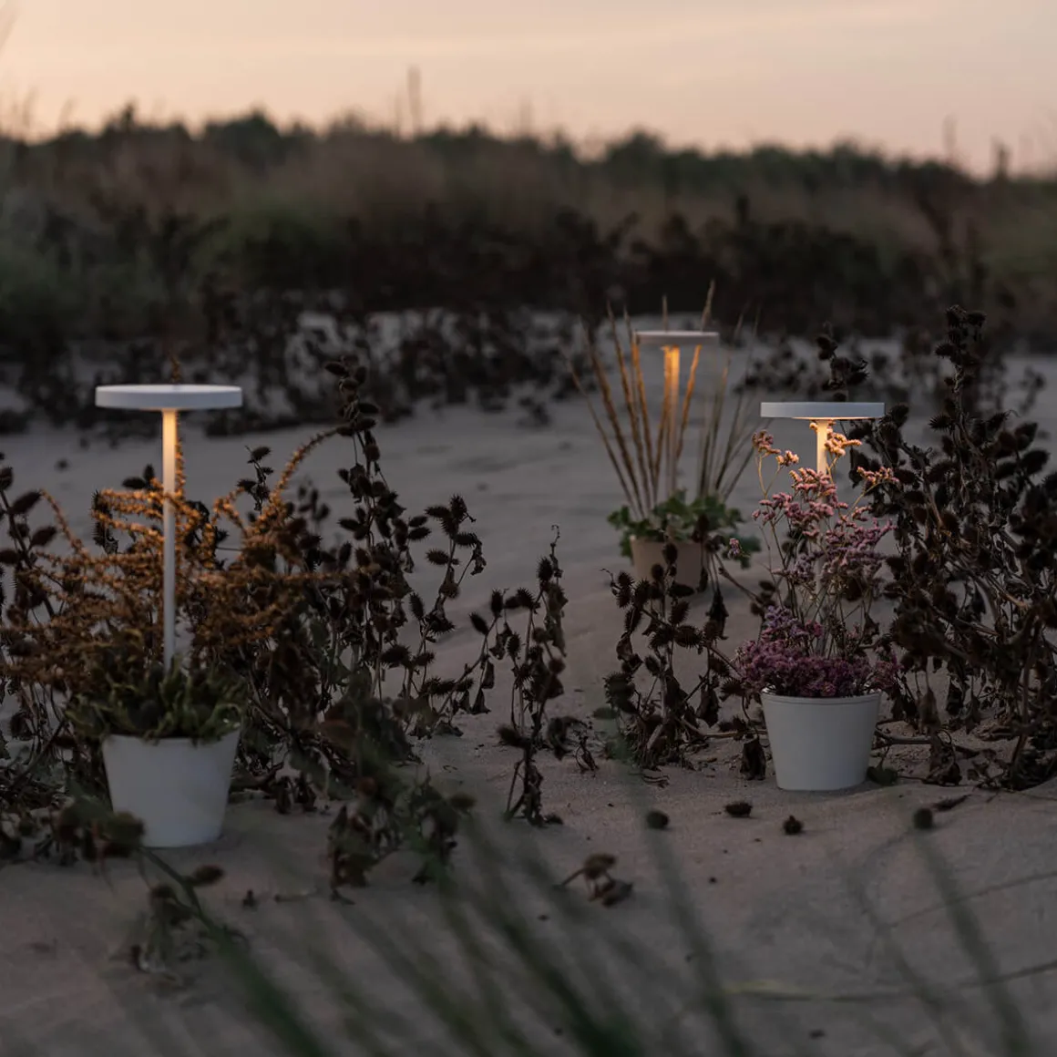 Zafferano AiLati Poldina Reverso Pro LED Akkuleuchte