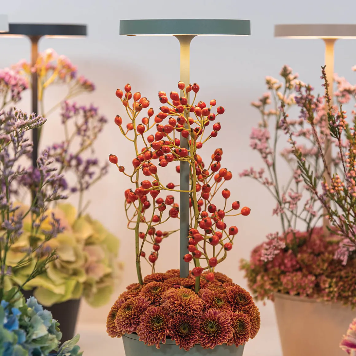 Zafferano AiLati Poldina Reverso Pro LED Akkuleuchte