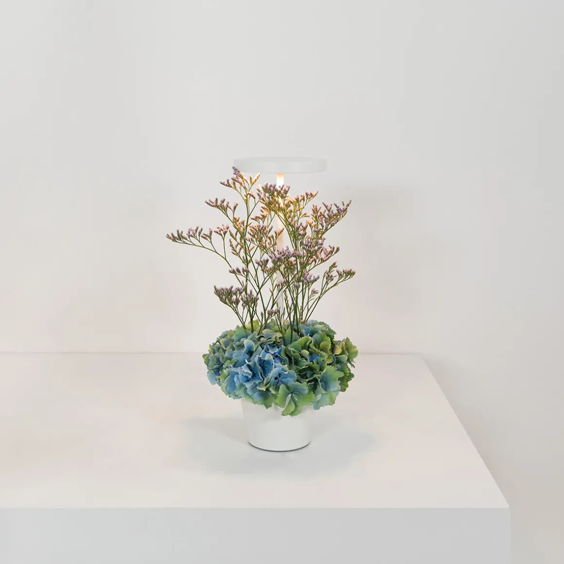 Zafferano AiLati Poldina Reverso Pro LED Akkuleuchte