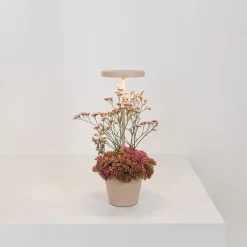 Zafferano AiLati Poldina Reverso Pro LED Akkuleuchte