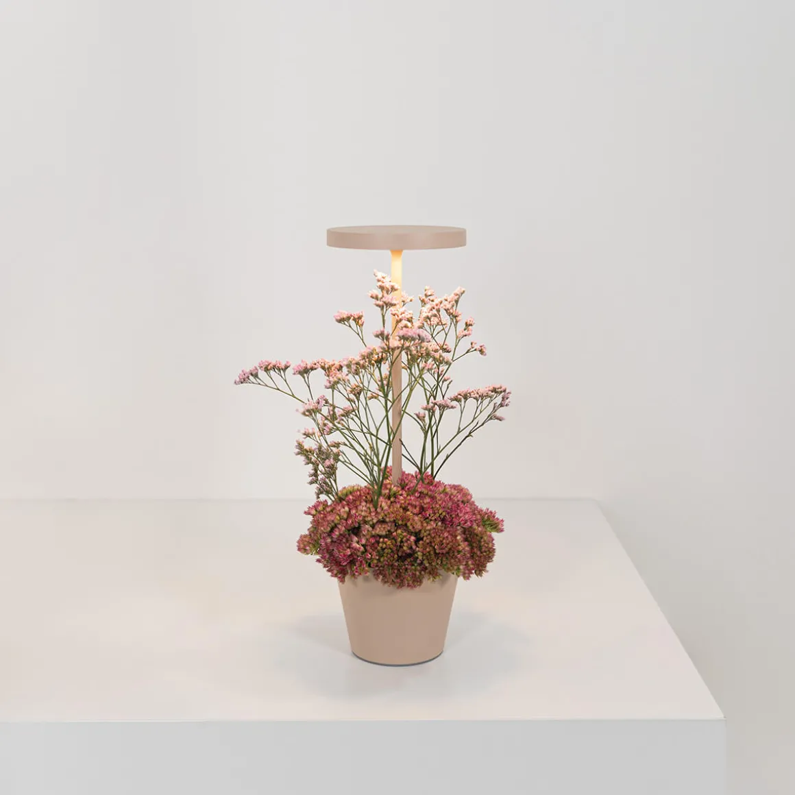 Zafferano AiLati Poldina Reverso Pro LED Akkuleuchte