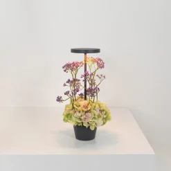 Zafferano AiLati Poldina Reverso Pro LED Akkuleuchte