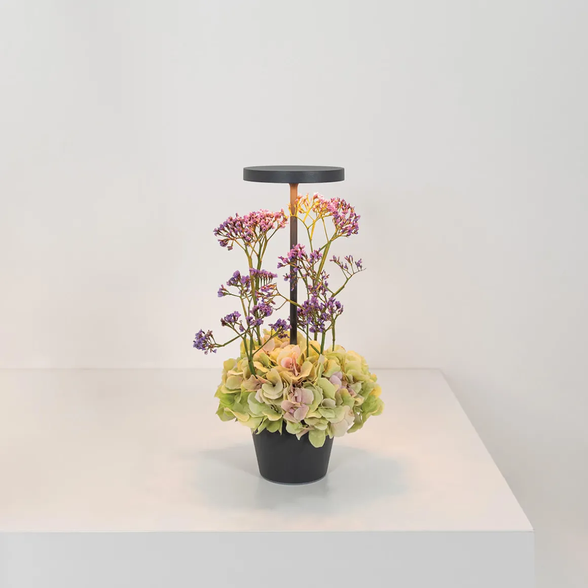 Zafferano AiLati Poldina Reverso Pro LED Akkuleuchte